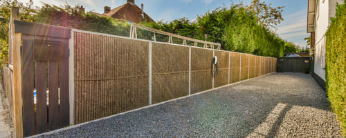 cat new fence