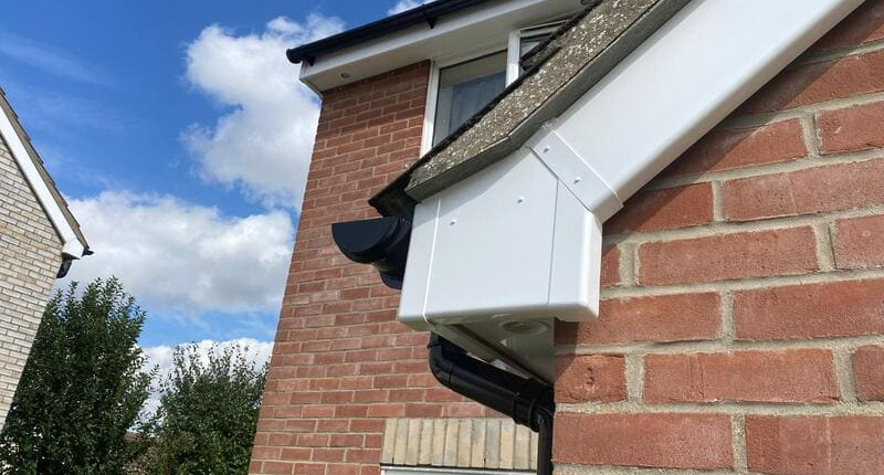 fascias